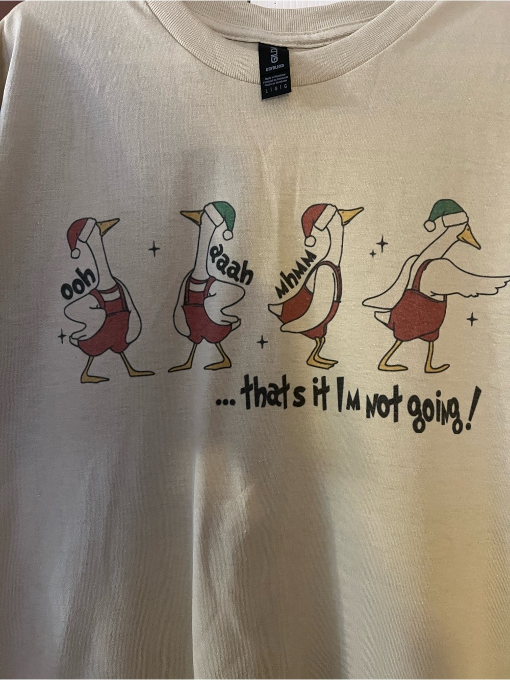 Gildan Cream Short-Sleeve Tee with Festive Goose Graphic